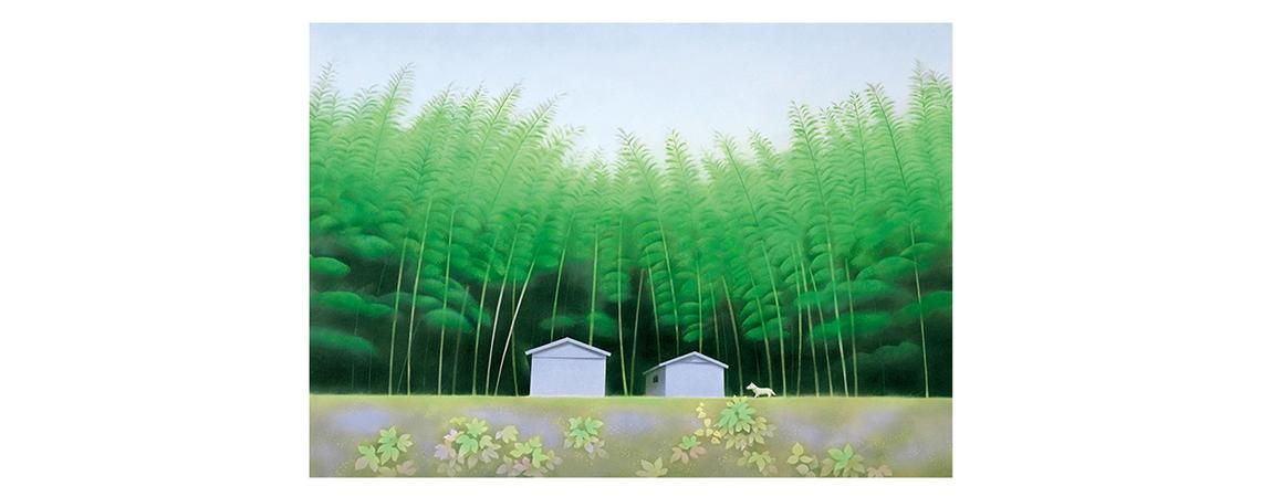 オンラインショップ - 黒井健絵本ハウス