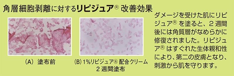 APクリーム＋SD 100g クリーム 日本オムバス - アトピー・敏感肌専門の
