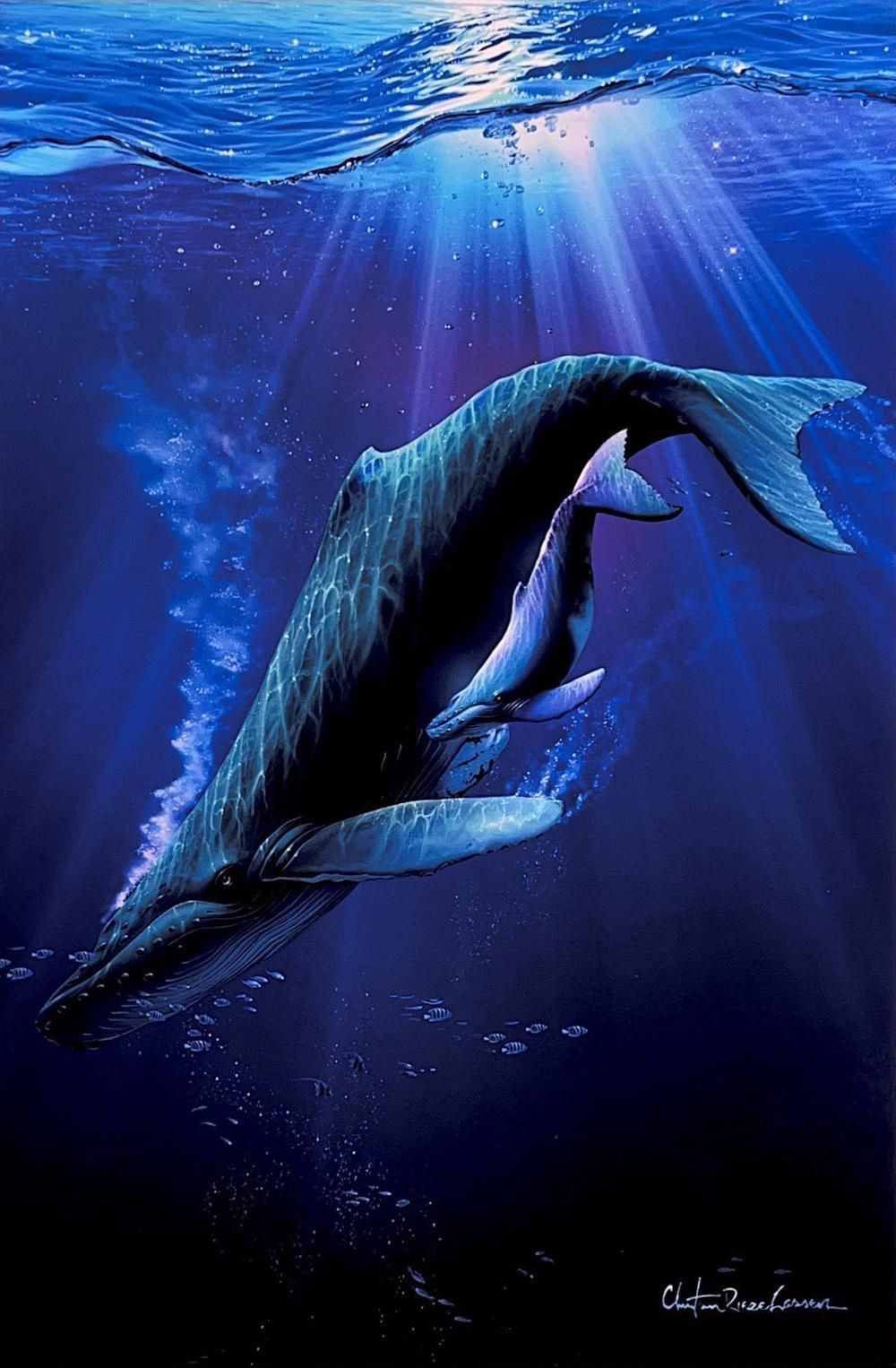 AQUA クリスチャンラッセン[トランキュリイルモーメント] AQUA