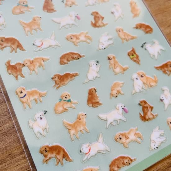 ドギーコレクション：ゴールデンレトリバー