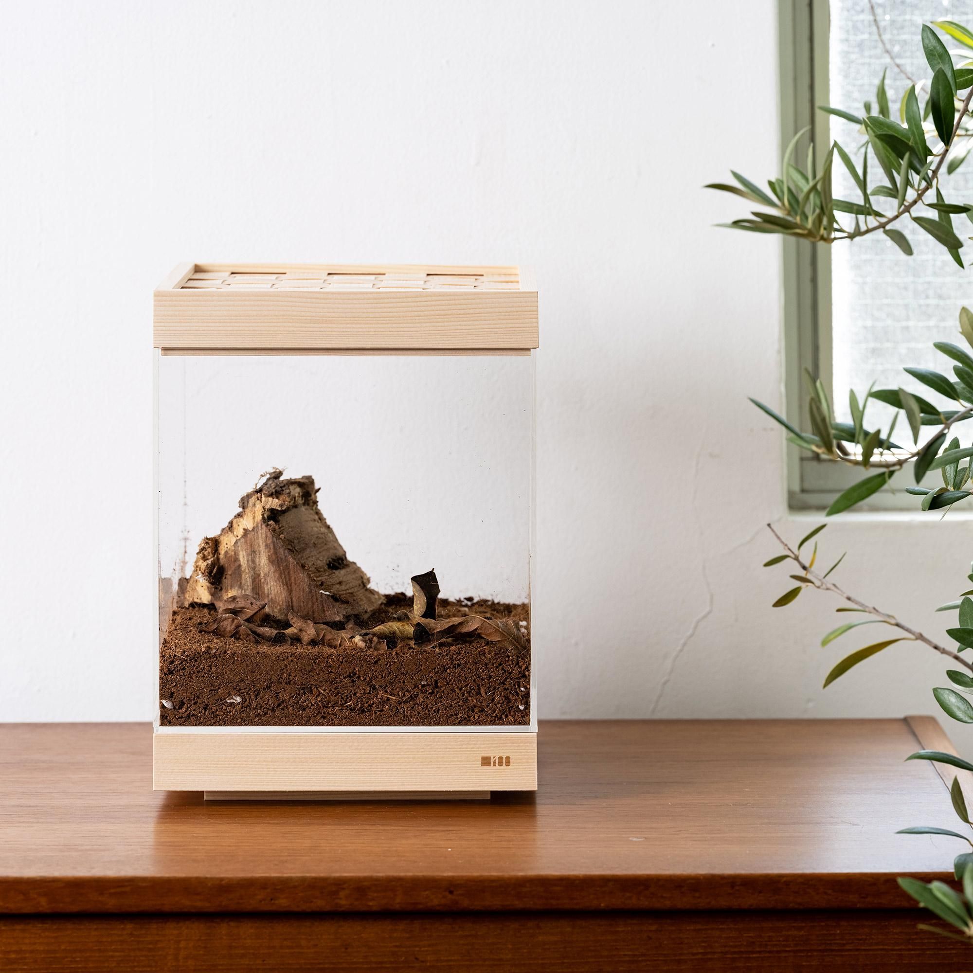 樅の飼育ケース 20 - MOMI100 THE STORE