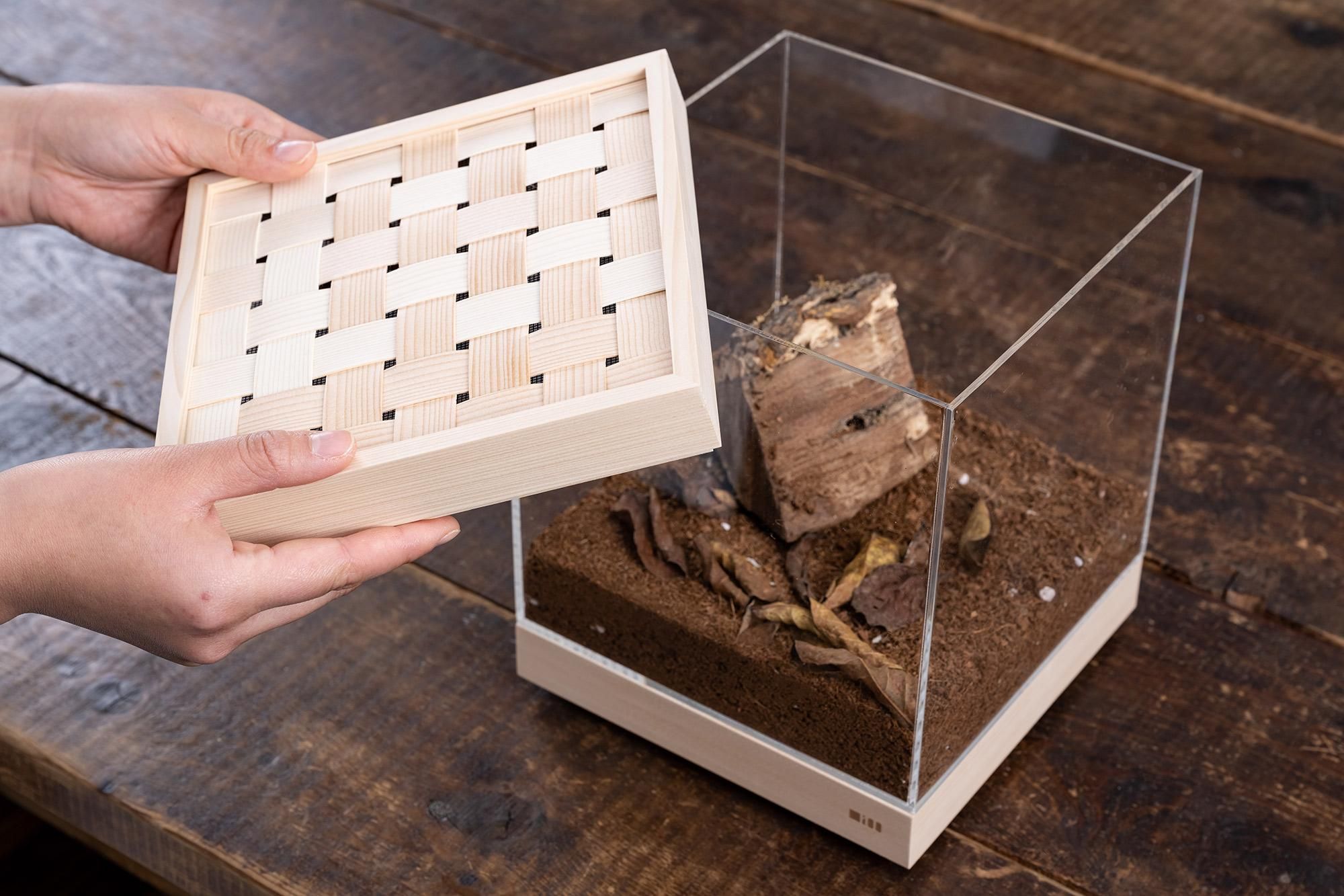 樅の飼育ケース 20 - MOMI100 THE STORE
