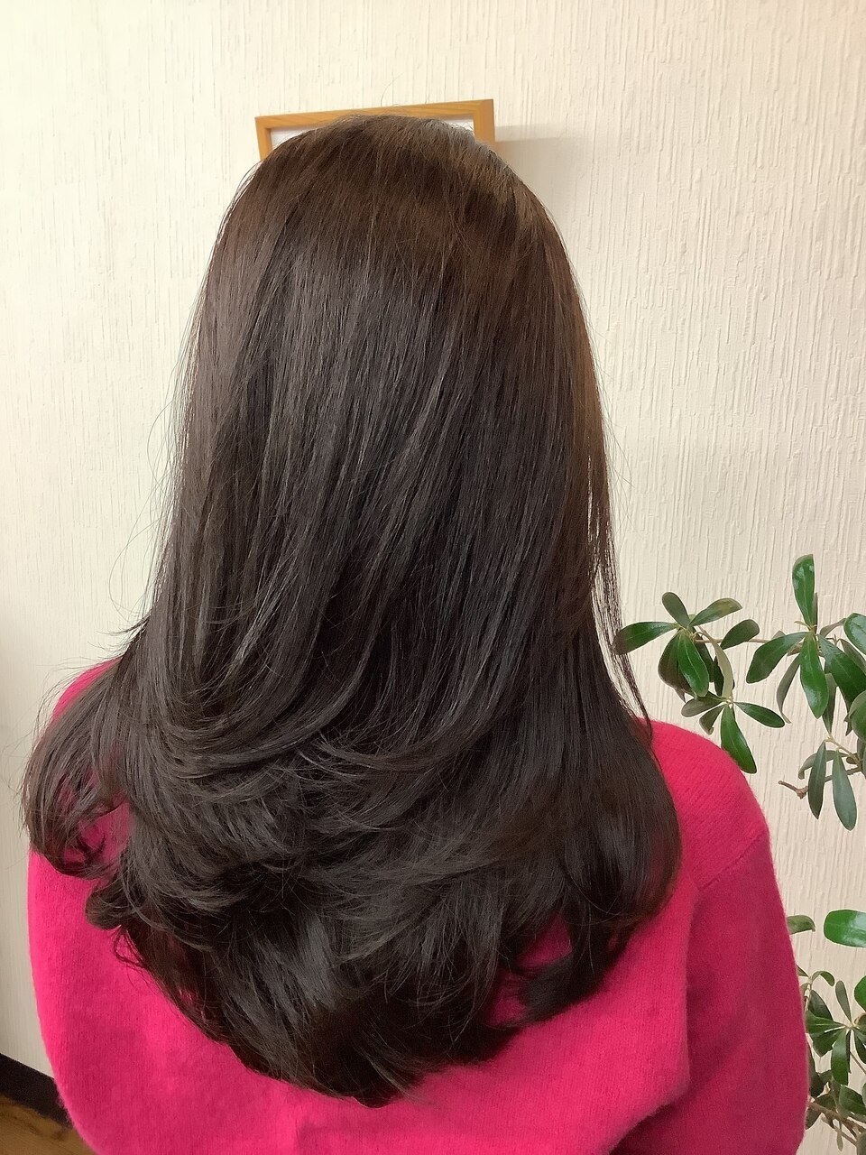 イルミナカラー オーキッド6：L175937606｜ホットペッパービューティー