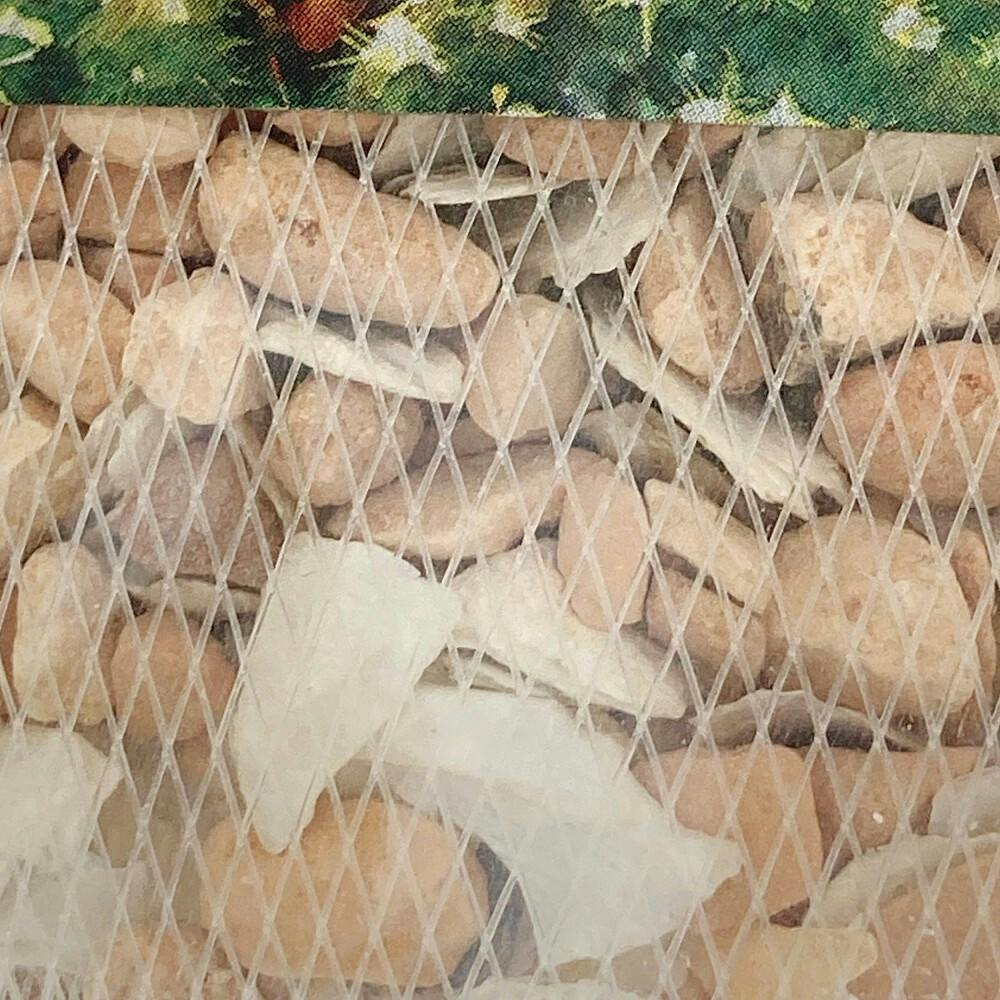 水がきれいになる ろ過材 2袋入 | 水中生物用品・水槽用品 通販