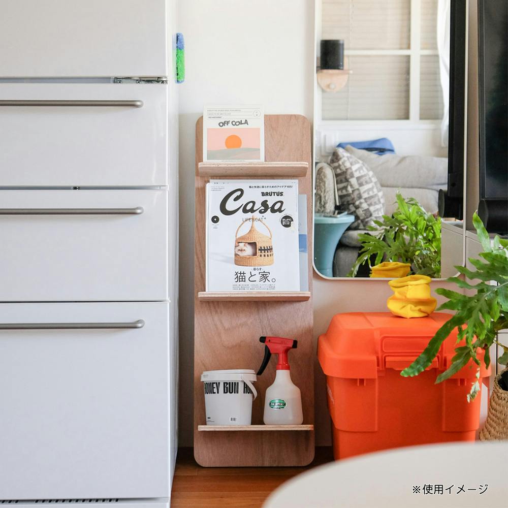 CDM】BOOKBOARD 壁に立てかける本棚(ラワン)【別送品】 | 本棚・書棚