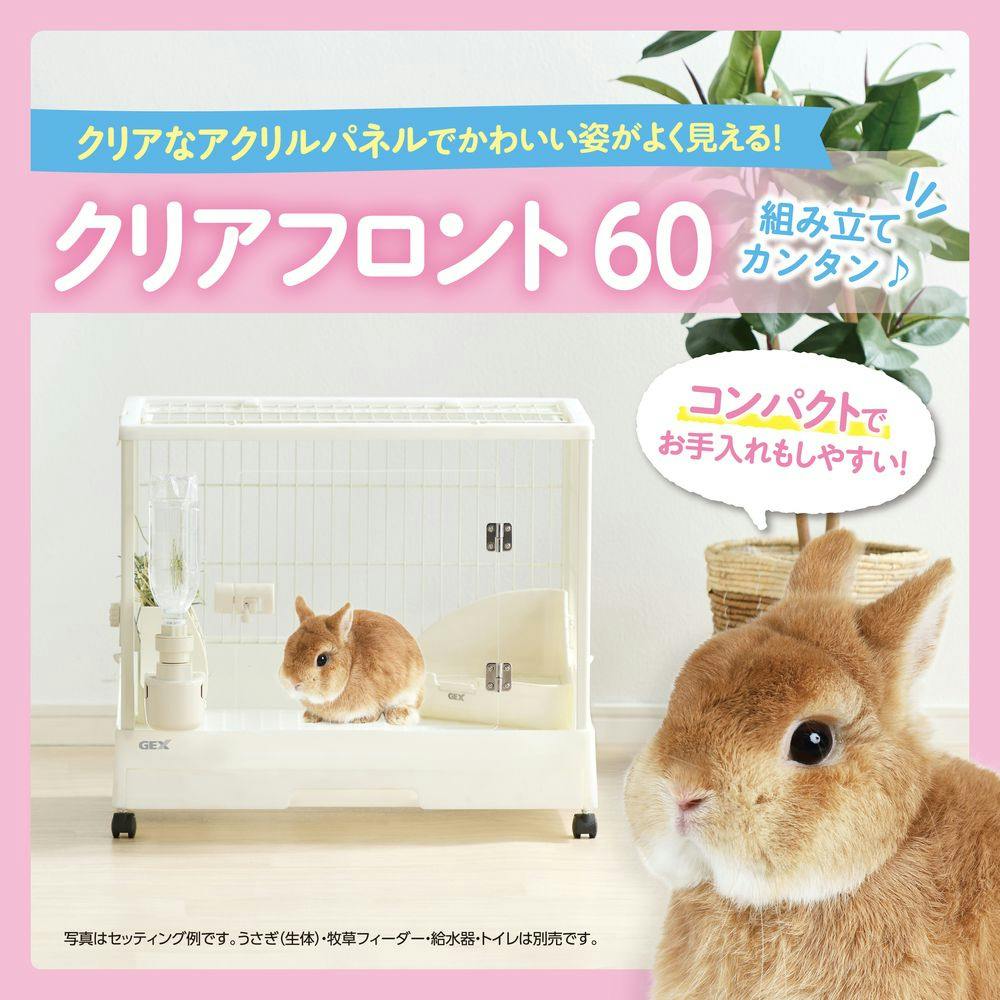 クリアフロント60 | ペット用品（小動物・鳥・亀・爬虫類） 通販