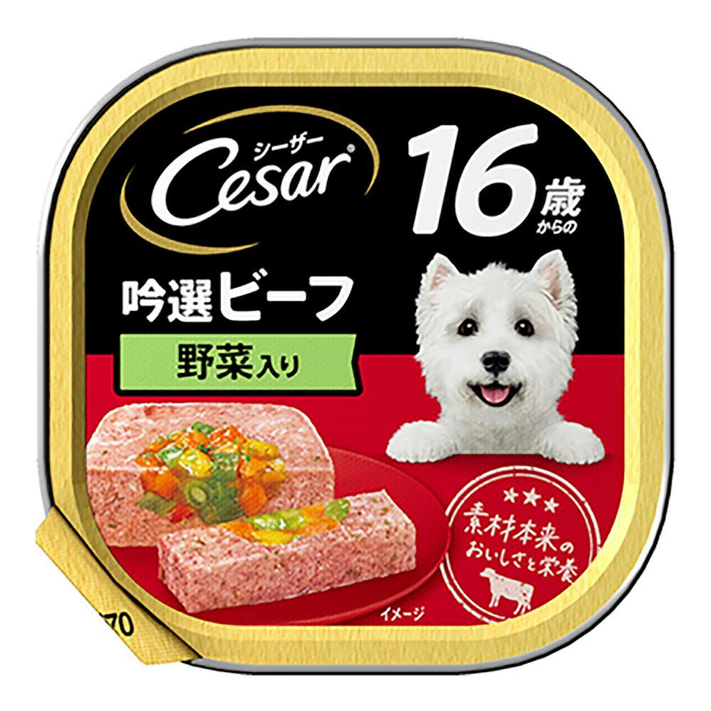 シーザー 16歳からの吟選ビーフ野菜入り100g CE80N | ドッグフード