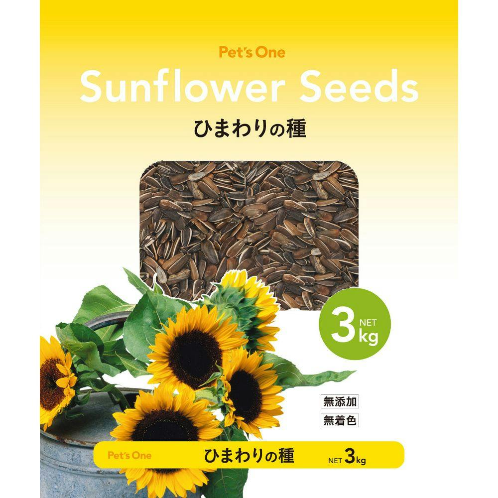 ひまわり ひまわり ひまわりページ ひまわり Amazon.co.jp: ZXHYWYM