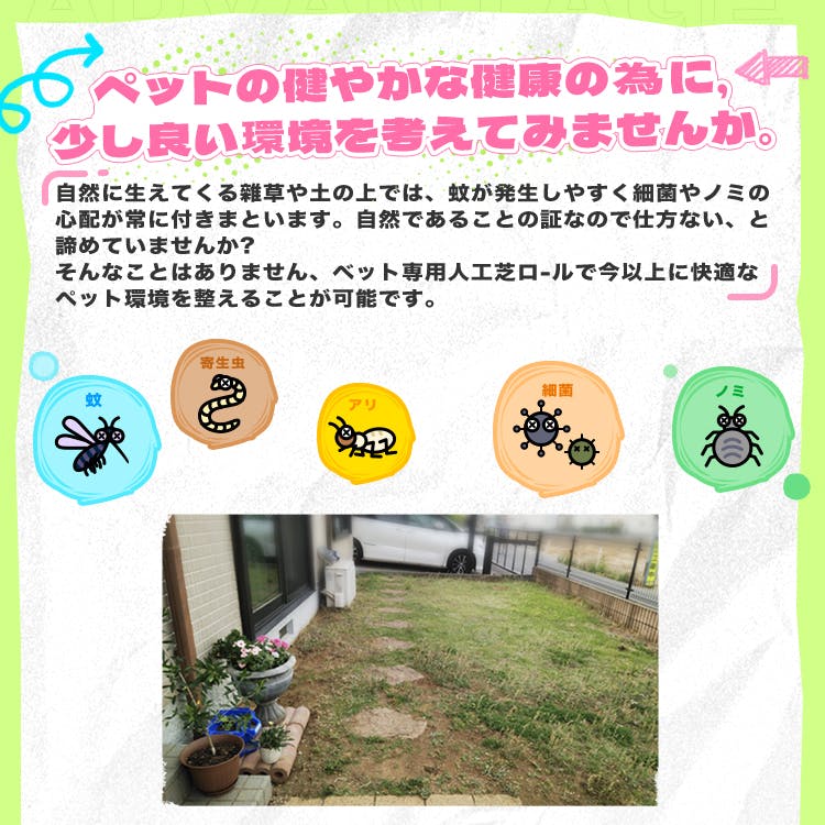 グッドライフウッド ペット専用人工芝ロール 1m×10m 芝丈30mm 固定ピン