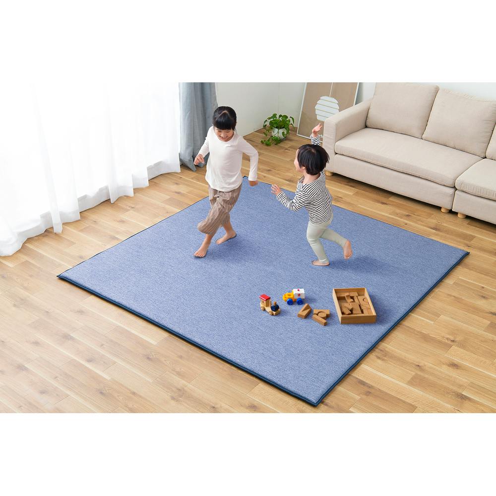 アイリスオーヤマ ラ・クッションラグ リバーシブルタイプ ACRR-CM1818