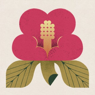 My Hair is Bad / 愛着 - OTOTOY