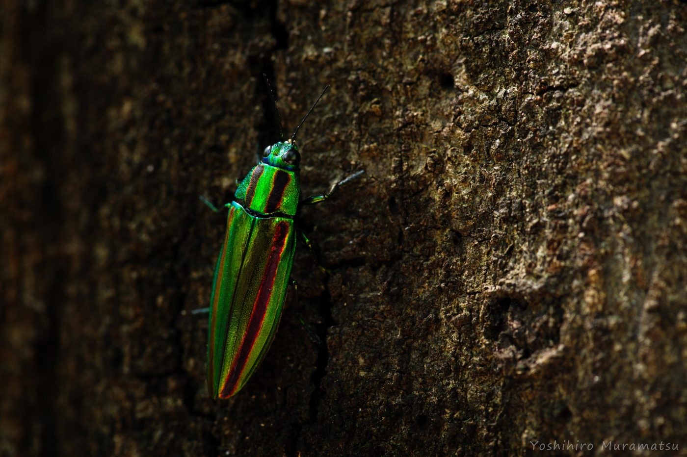 61008dbe2fa3e7e0794bcefea1f58a