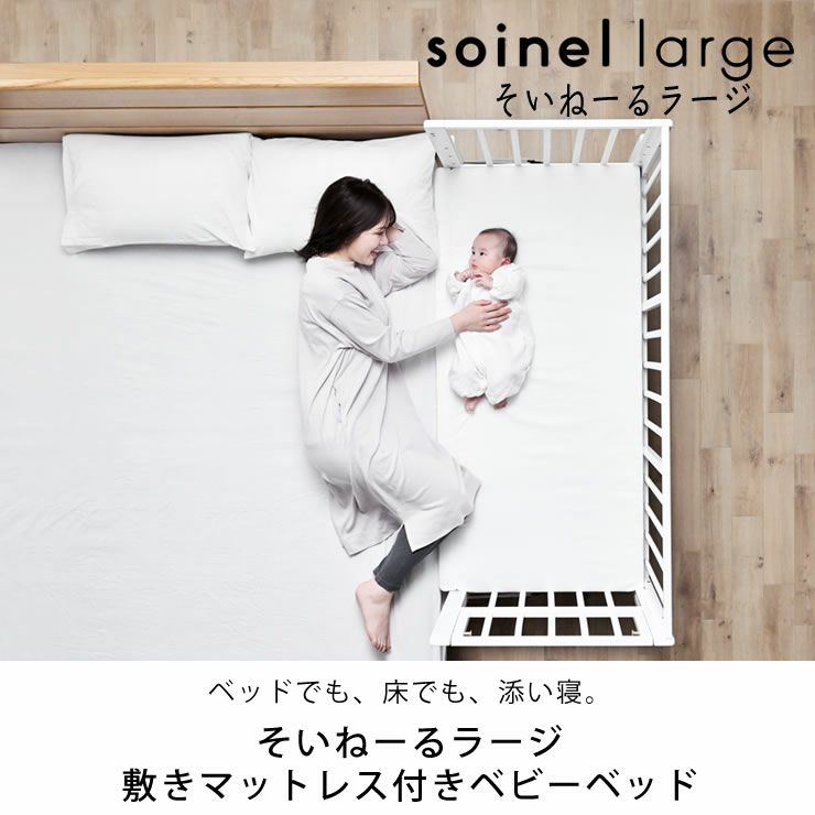 ソイネールⅢ ラージ ソイネールⅢ ラージ ソイネールⅢ ラージ 楽天