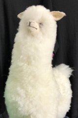 アルパカ毛100％ テディベアパンダ ぬいぐるみ くま teddybear