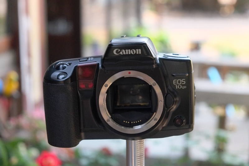 CANON EOS 10QD - ฟิล์มคาเมร่า เชียงใหม่ซ๊อป : Inspired by LnwShop