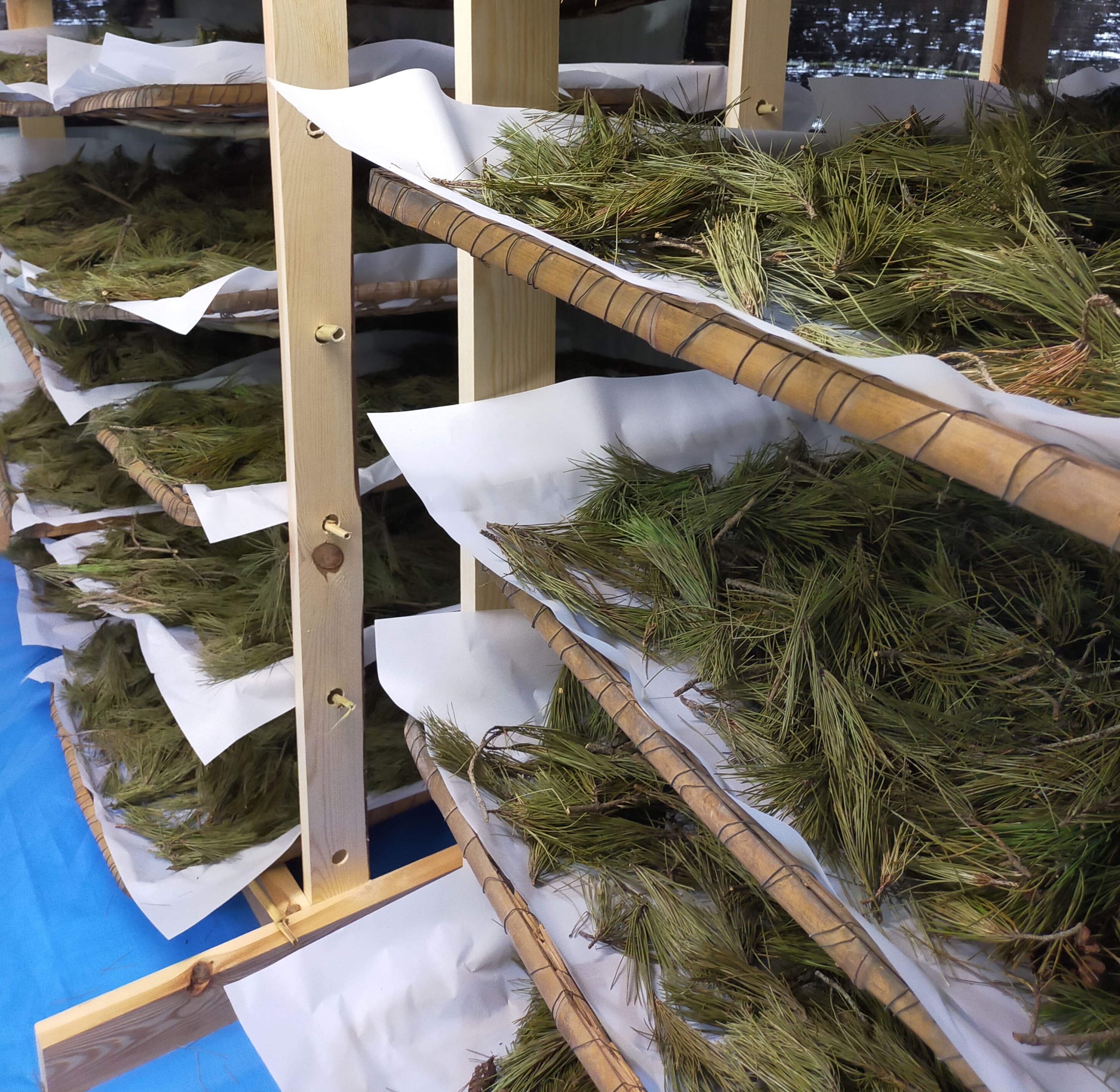 松葉湯】長野県産・国産無農薬の赤松入浴剤（7パック入り）｜モノ｜IN