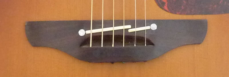 TAKAMINE/NPT-012 BS ￥SOLD (税抜) | アコースティックプラザ井上楽器