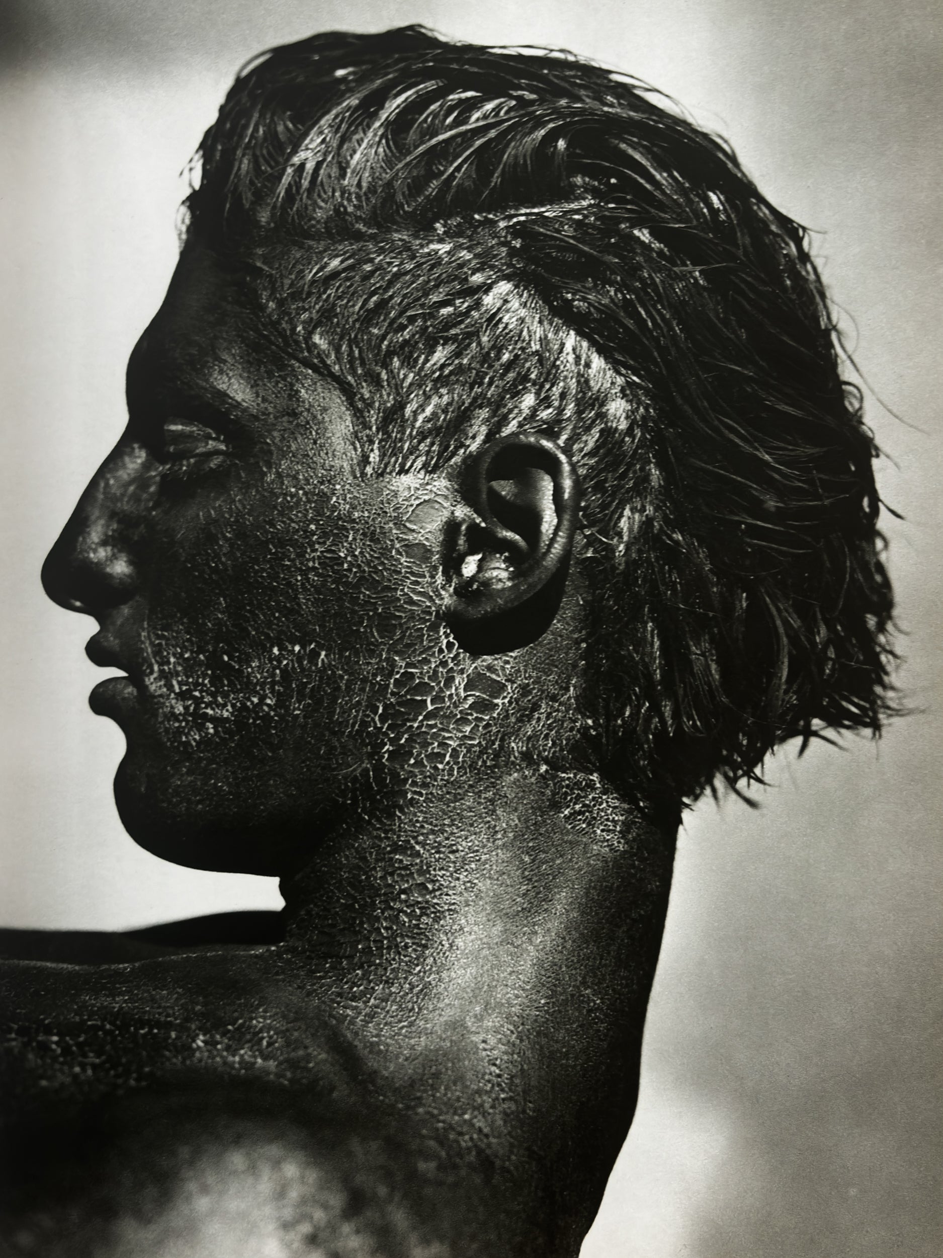Pictures - Herb Ritts – In Form Library