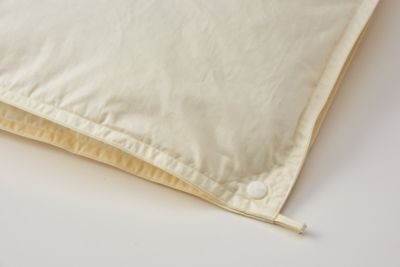 西川プレミアム NP7050 羽毛合掛ふとん（KA04495071