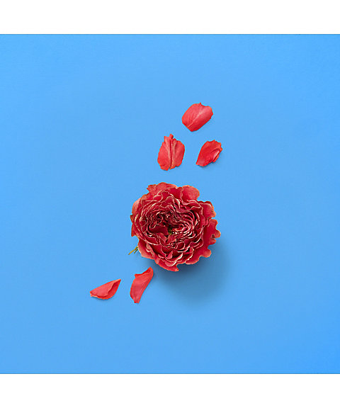 GUCCI beauty（GUCCI beauty） グッチ ア ソング フォー ザ ローズ