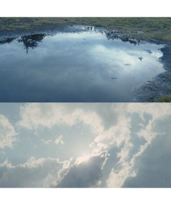 athletia（athletia） オードパルファン UNTIL THE