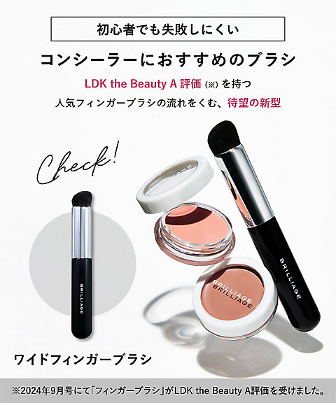 BRILLIAGE（BRILLIAGE） カモフラージュ コンシーラーチーク 04 通販
