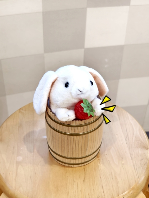 イチゴのおもちゃ。。。│好き勝手しほーだい！