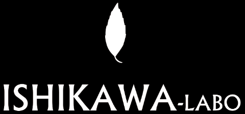 11/17ライブ② ドットプリーツガウチョパンツ (プライオリティ P10170