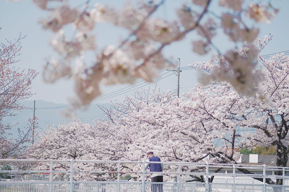 Xシリーズと奈良へ、電車で行く。〜f.uri vol.1〜 | IRODORI by 富士