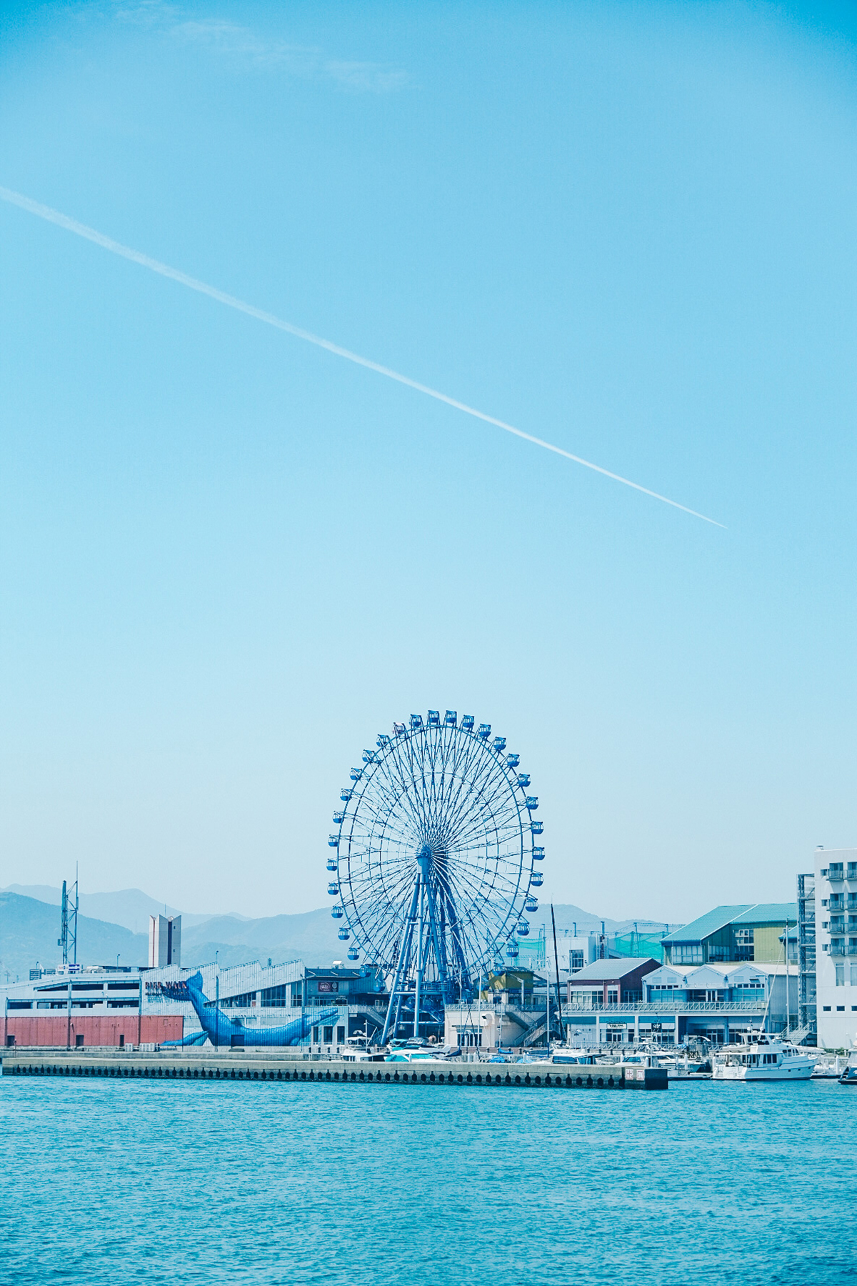 Xシリーズユーザーインタビュー】『X-T4』とフォトグラファー宵月絃 花