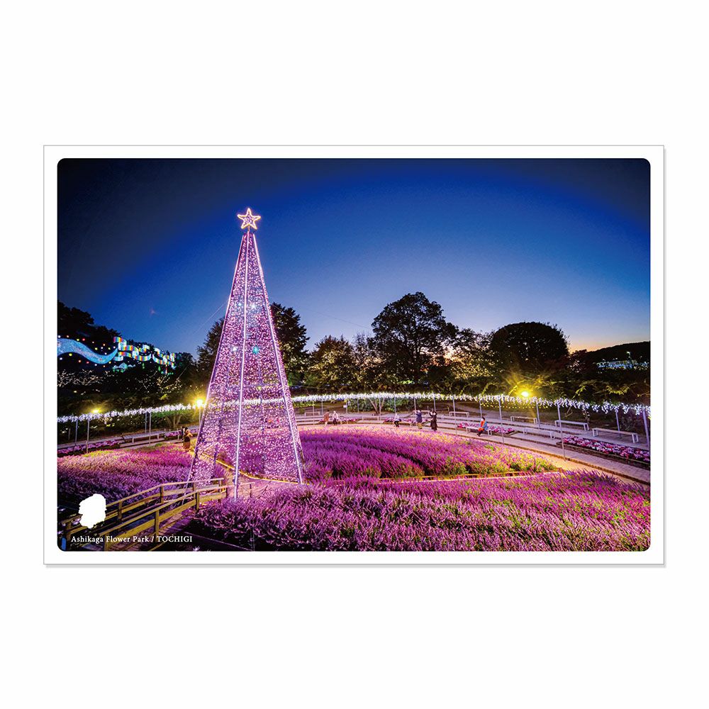 日本の絶景ポストカード ～冬～ 冬のあしかがフラワーパーク/栃木