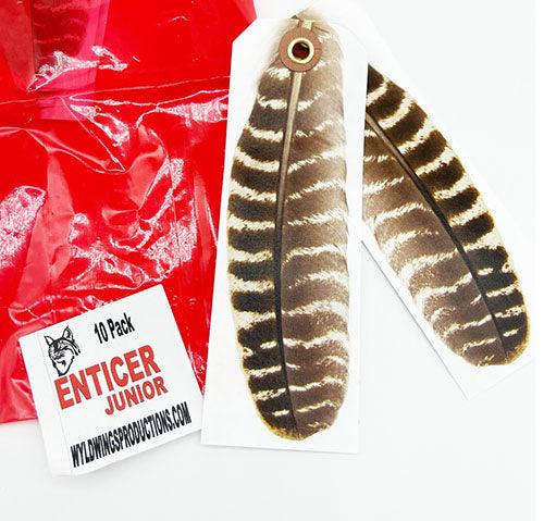 Enticer Junior - 10 Pack Feathers - Wyldwings – IronTrail Trapline