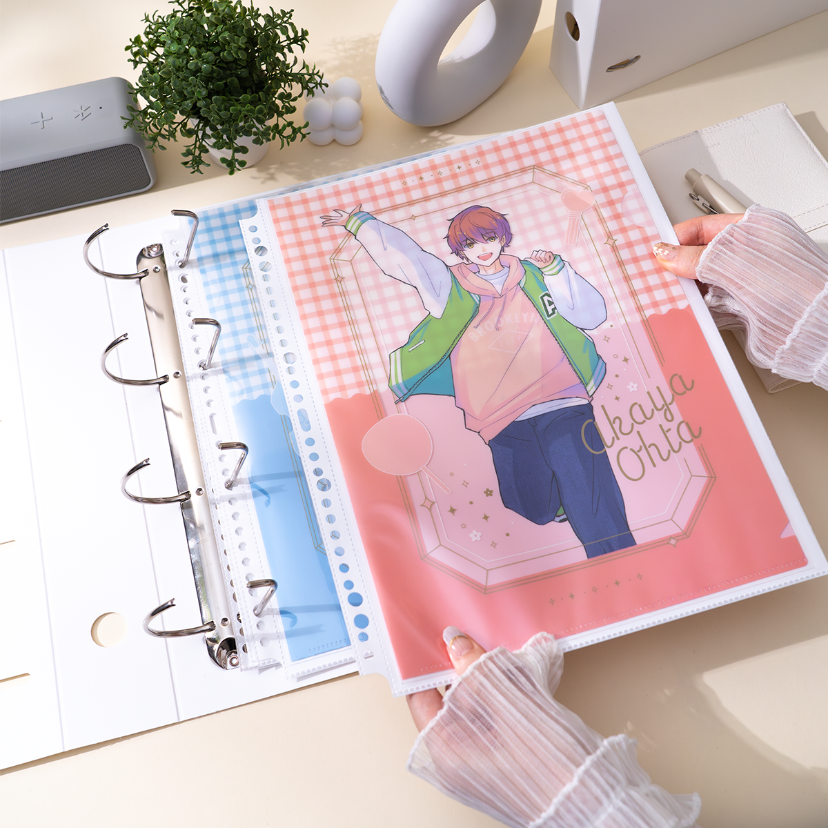 クリアファイルの収納に最適な「イレールバインダーリフィル 1ポケット