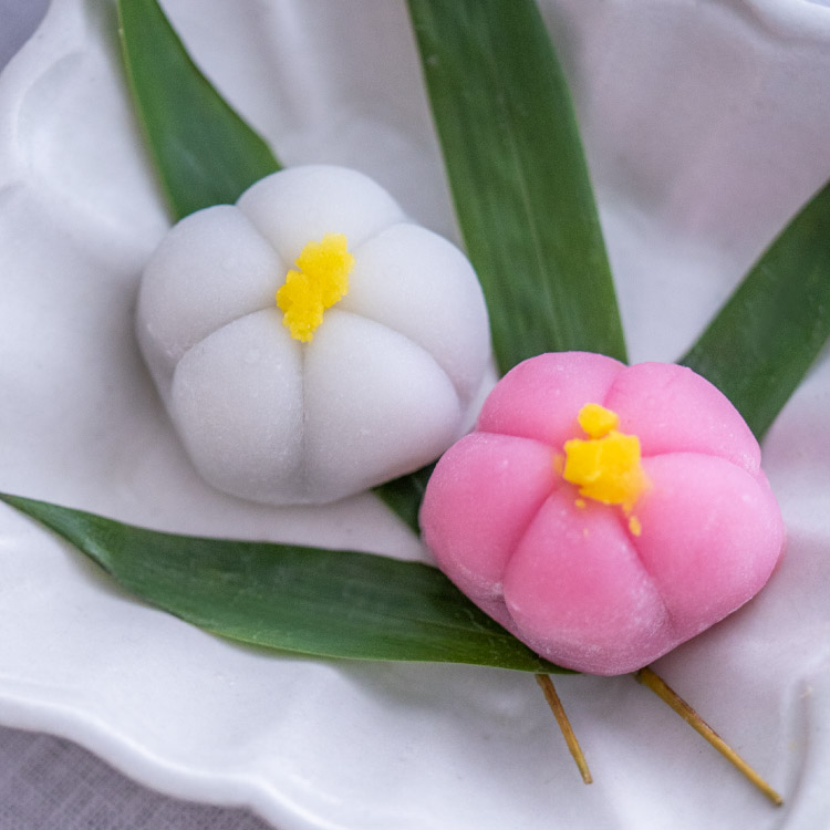 花餅紅白梅【4個入】｜板前魂のマイおせち2026年度