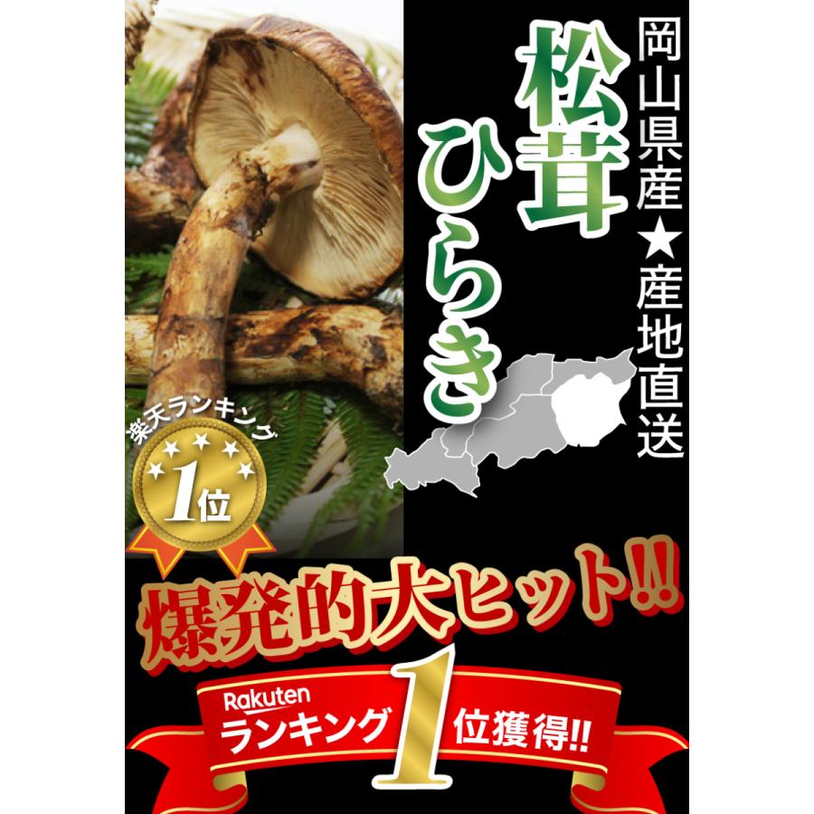 松茸 北海道 400g ① 国産 北海道 松茸 400g ④ 【公式通販】