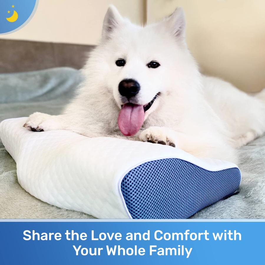 Derila デリラ 枕 頸部ネックピロー 睡眠用 人間工学に基づいたネック