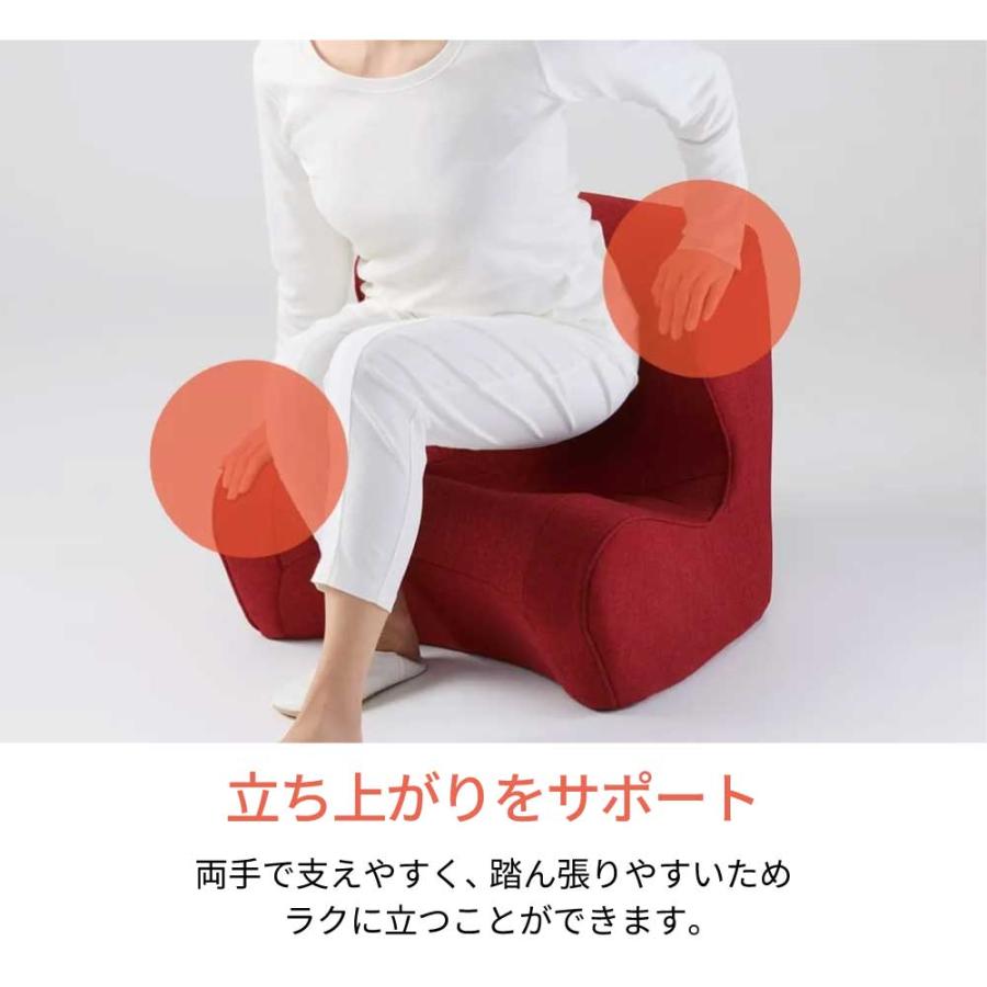 Style（スタイル） 姿勢サポートチェア MTG ドクターチェア Style Dr