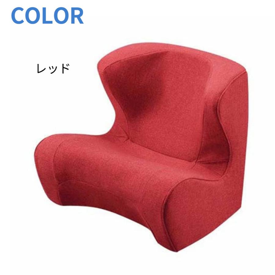 Style（スタイル） 姿勢サポートチェア MTG ドクターチェア Style Dr