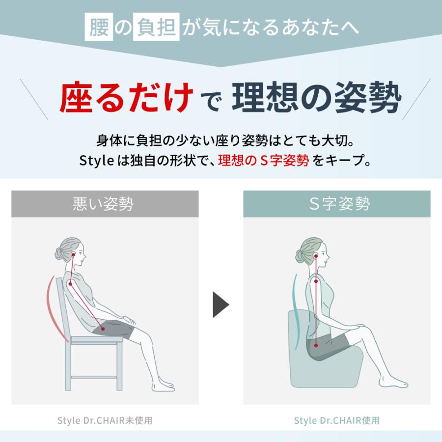 Style（スタイル） 姿勢サポートチェア MTG ドクターチェア Style Dr