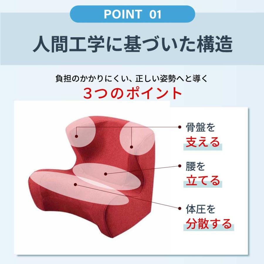 Style（スタイル） 姿勢サポートチェア MTG ドクターチェア Style Dr