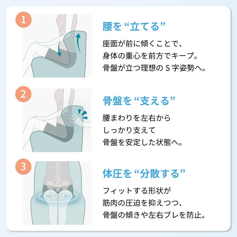Style（スタイル） 姿勢サポートチェア MTG ドクターチェア Style Dr