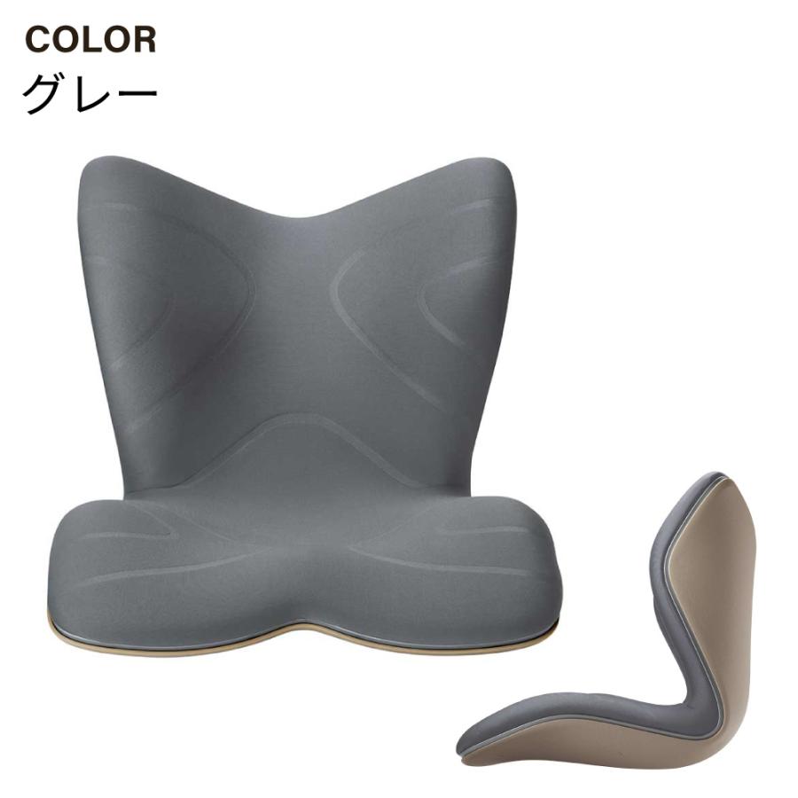 Style（スタイル） 姿勢 サポートチェア MTG スタイルプレミアム Style