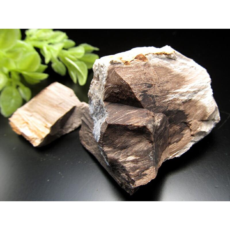 リアル木の化石！ 珪化木 原石 重さ20g-30g シリカ化した木の化石 神秘