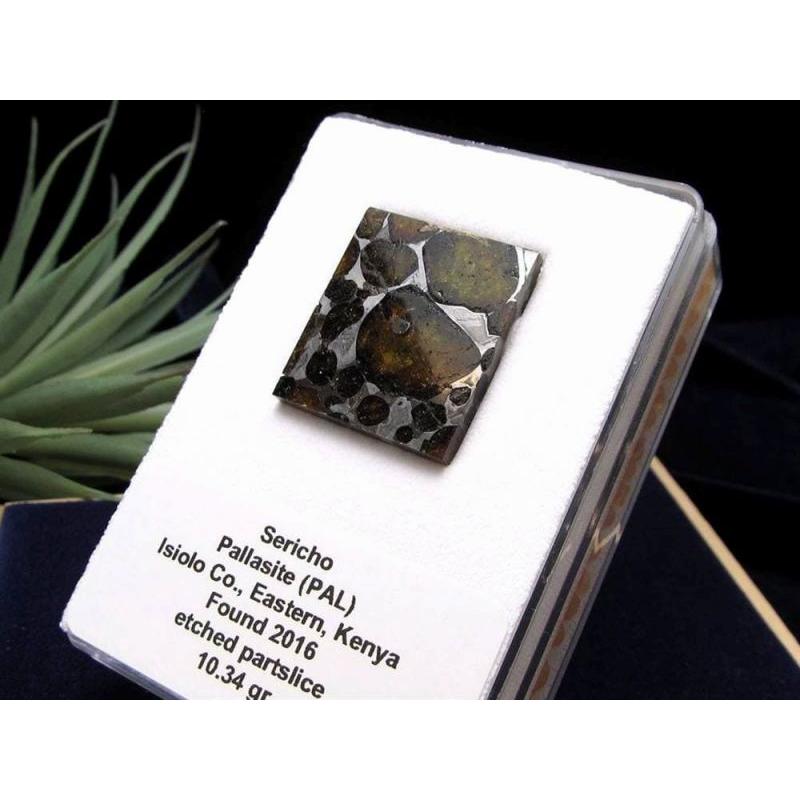 セリコ隕石 パラサイト隕石 原石 スライスプレート 最大幅約28.3mm 約