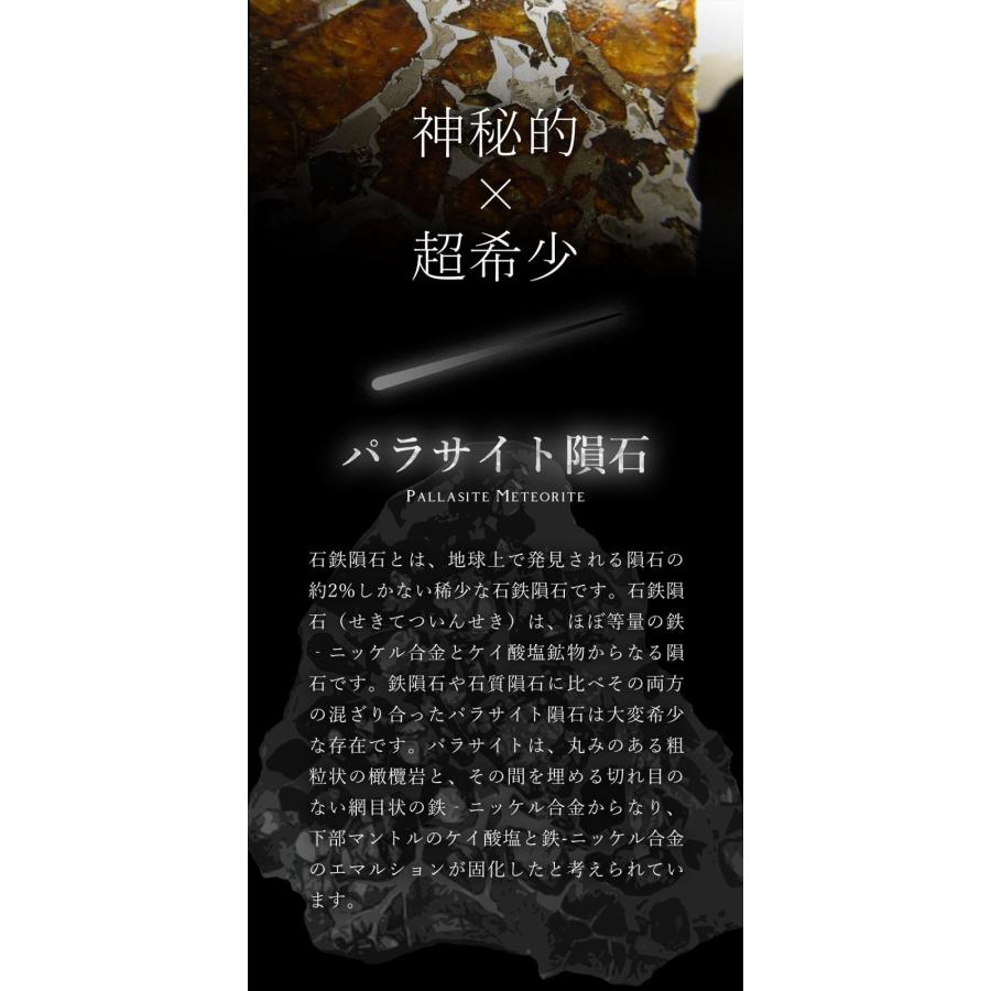 セリコ隕石 パラサイト隕石 原石 スライスプレート 最大幅約28.3mm 約