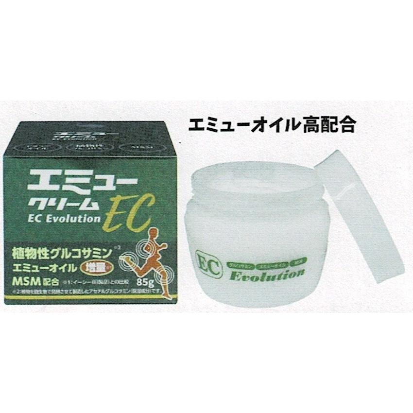 野口医学研究所 塗るグルコサミン エミュークリームEC 85g : コスメ