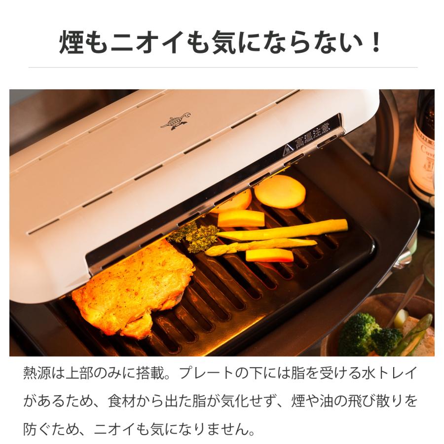 アラジン（Aladdin） [在庫処分]アラジン グラファイトグリラー 電気