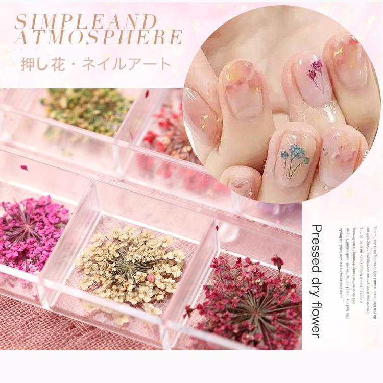 押し花 フラワー ドライフラワー 12カラー セット ネイル 花 12色
