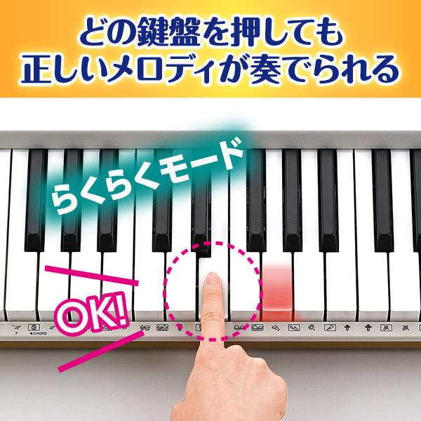 CASIO（カシオ） 楽らくキーボード LK-536 ユーキャンオリジナル CASIO