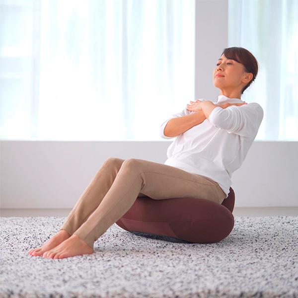 ミズノ 腹筋プルレプラス mizuno 腹筋 トレーニング 骨盤を整える 腹直